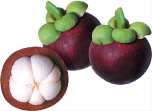 mangosteen.jpg