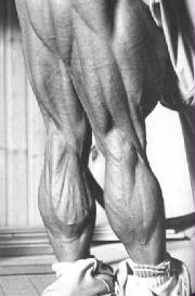 tomplatzhamstrings.jpg