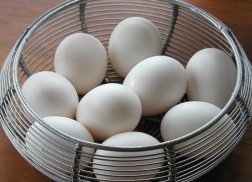 eggbasket.jpg