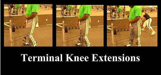 terminalkneeextentions.jpg