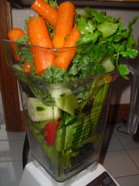 veggieblender.jpg